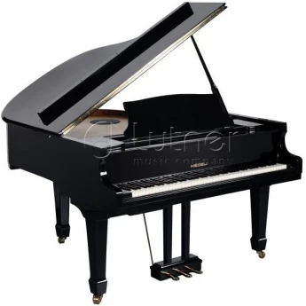 ЦИФРОВЫЕ ПИАНИНО, РОЯЛИ И ОРГАНЫ MEDELI GP805 90844